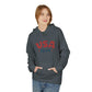USA EST.1776 Hoodie — Retro Patriotic Fleece Pullover, Sizes S–5XL
